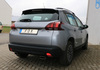 FOX Edelstahl Duplex Racing-Komplettanlage ab Kat. Peugeot 2008 je 145x65mm trapezförmig eingerollt abgeschrägt