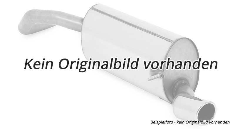 Eisenmann Edelstahl Duplex Sportauspuff RACE-Version Mercedes C-Klasse W205 C43 AMG